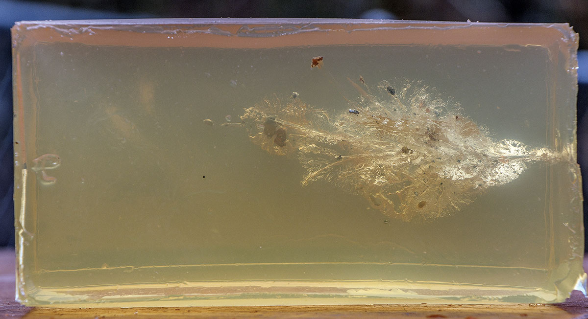 This is the type of terminal ballistics that can be expected from most of the 17-grain, 17 HMR loads. Penetration is limited, but tissue destruction is massive.